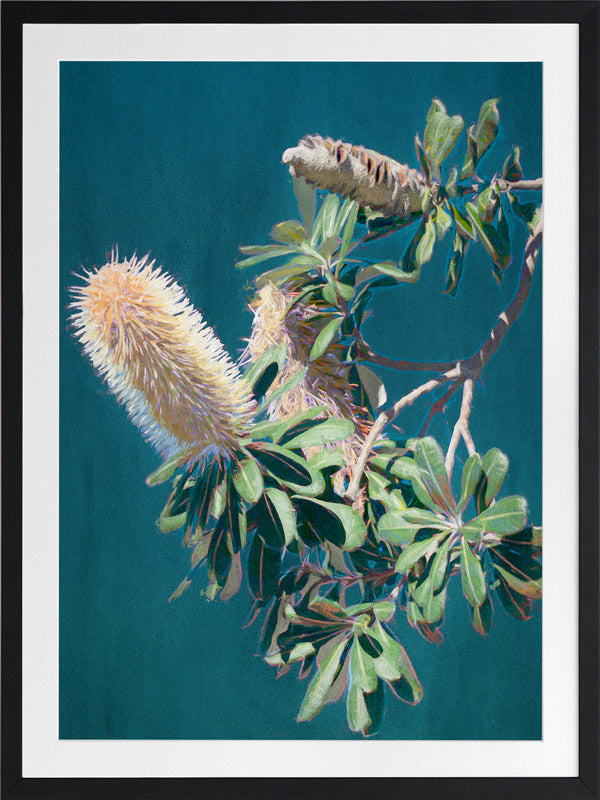 Twilight Banksia Framed Art Print