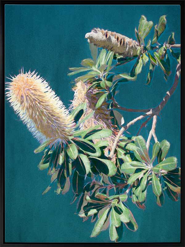 Twilight Banksia Canvas Art Print