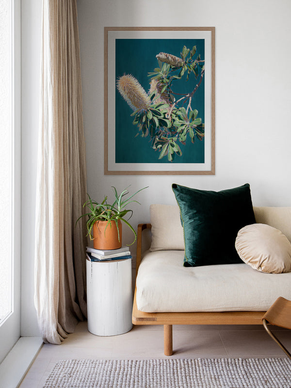 Twilight Banksia Framed Art Print | Lifestyle