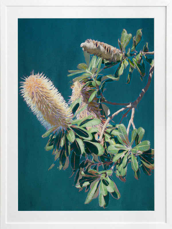 Twilight Banksia Framed Art Print