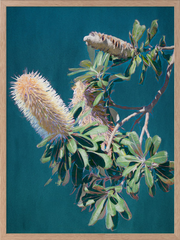 Twilight Banksia Framed Art Print