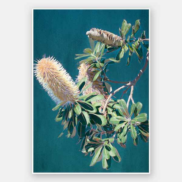 Twilight Banksia Unframed Art Print