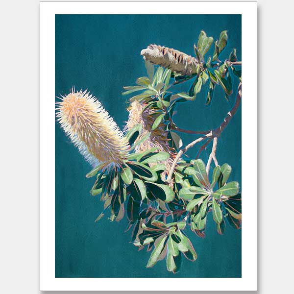 Twilight Banksia Unframed Art Print