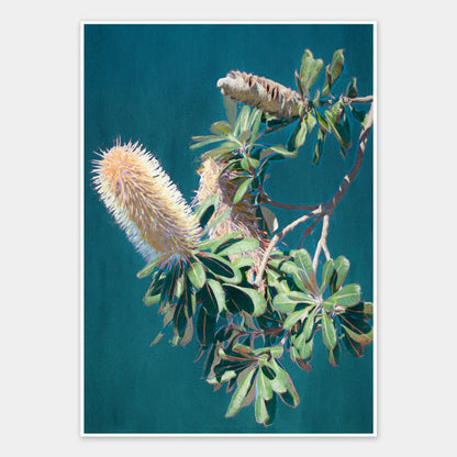 Twilight Banksia Unframed Art Print