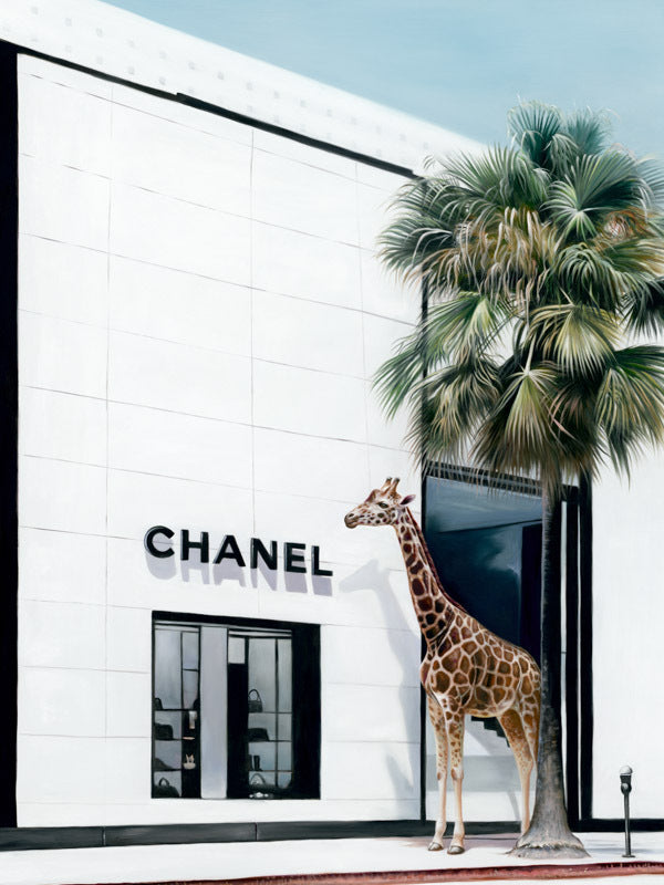 Rodeo Drive Canvas Art Print