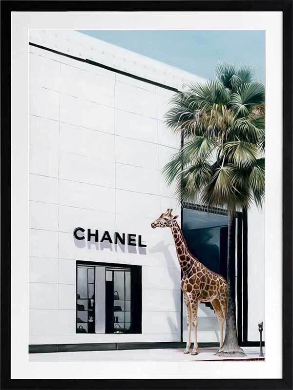 Rodeo Drive Framed Art Print