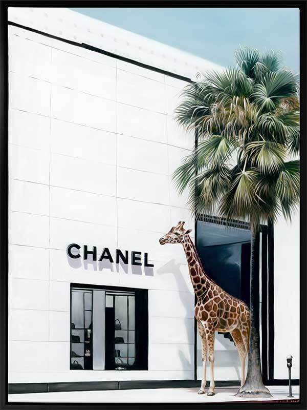 Rodeo Drive Canvas Art Print