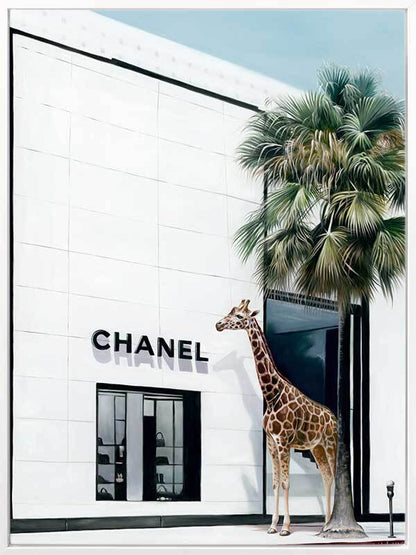 Rodeo Drive Canvas Art Print