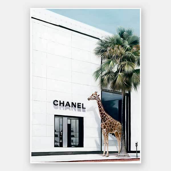 Rodeo Drive Unframed Art Print