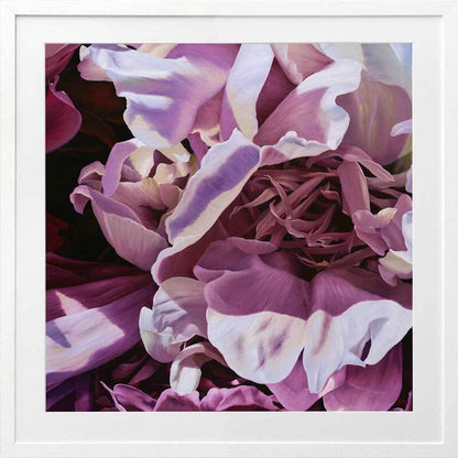 Mauve On Framed Art Print