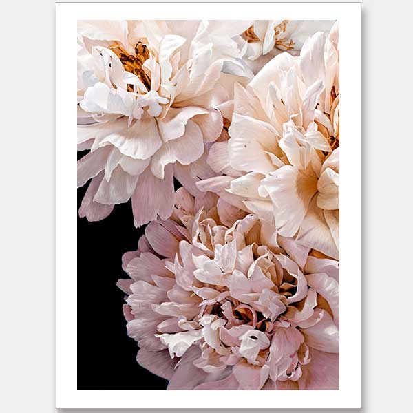 Parisienne Unframed Art Print