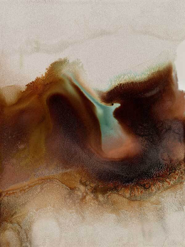 Sedimentary II Canvas Art Print