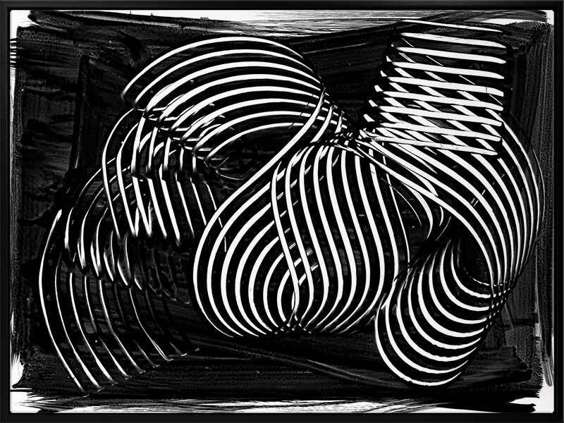 Henri I Canvas Art Print