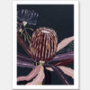 Blackberry Banksia Unframed Art Print