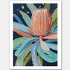 Coral Banksia Unframed Art Print