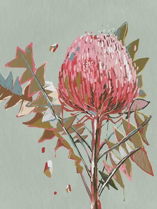 Sage Waratah Canvas Art Print