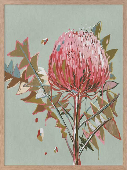 Sage Waratah Framed Art Print