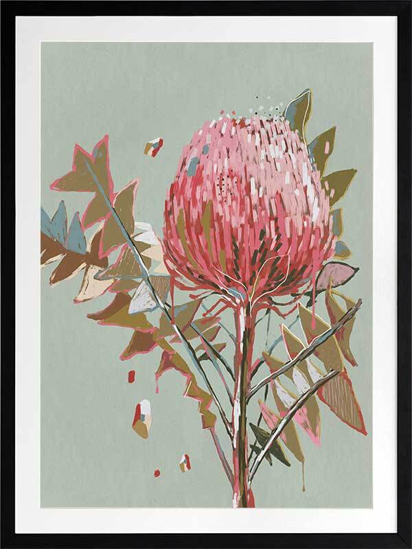 Sage Waratah Framed Art Print