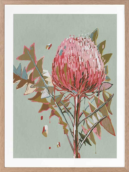 Sage Waratah Framed Art Print