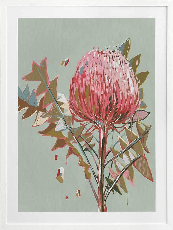 Sage Waratah Framed Art Print