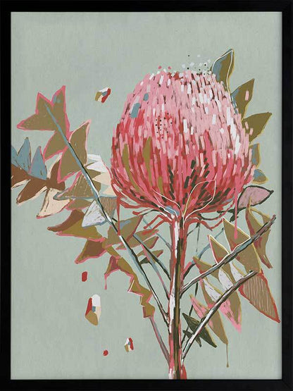 Sage Waratah Framed Art Print