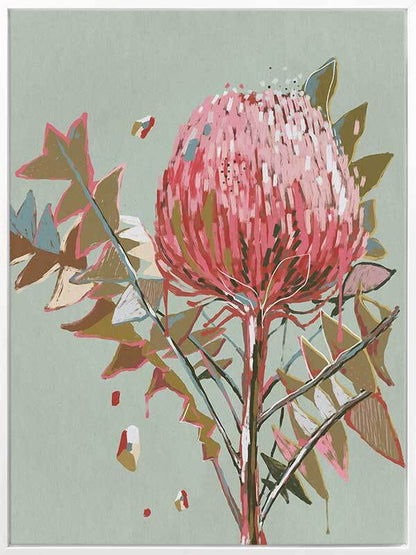 Sage Waratah Canvas Art Print