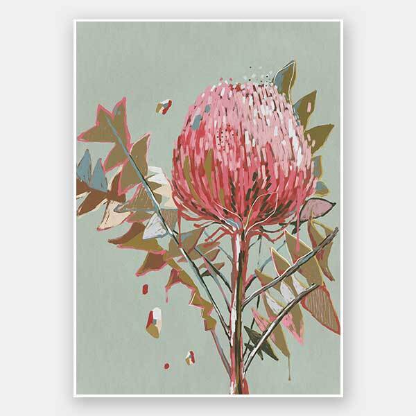 Sage Waratah Unframed Art Print