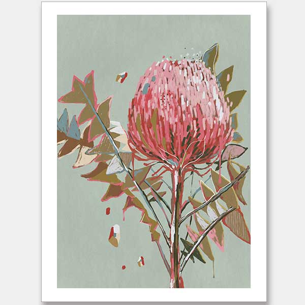 Sage Waratah Unframed Art Print