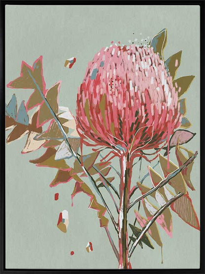 Sage Waratah Canvas Art Print