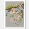 Neutral Flowering Gum II Unframed Art Print