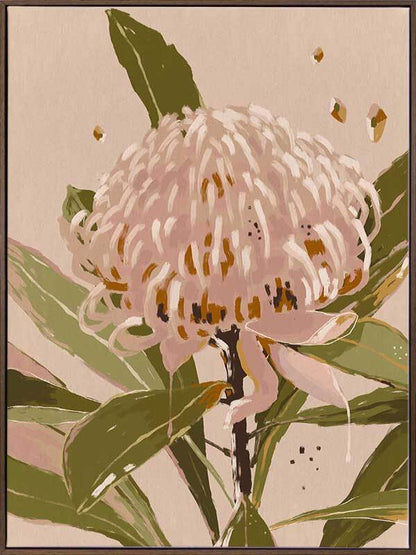 Neutral Waratah Canvas Art Print