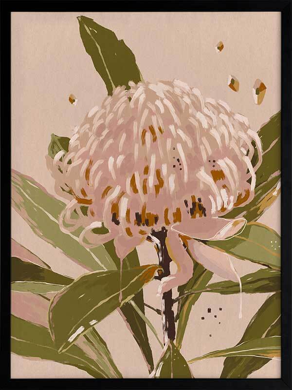 Neutral Waratah Framed Art Print