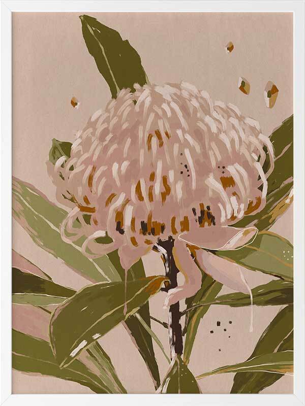 Neutral Waratah Framed Art Print