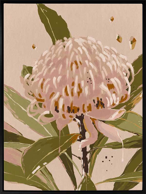 Neutral Waratah Canvas Art Print