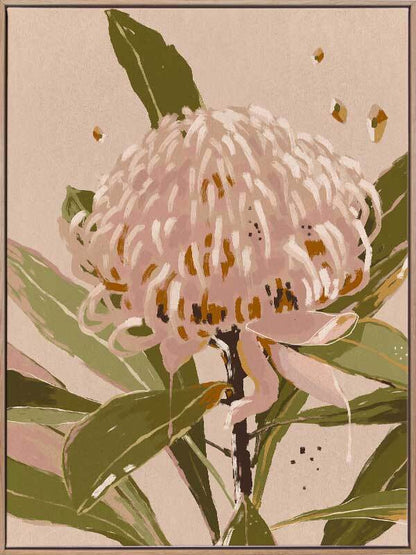 Neutral Waratah Canvas Art Print