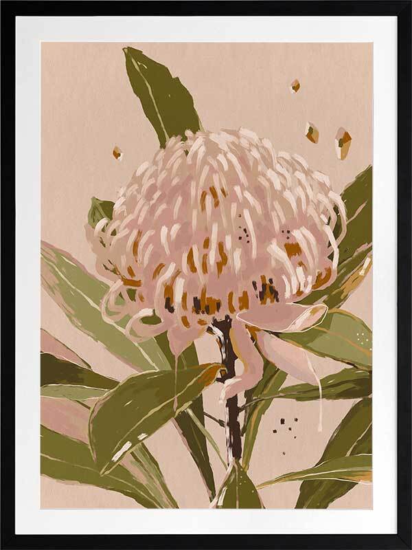 Neutral Waratah Framed Art Print