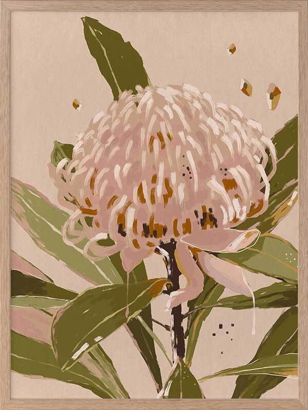 Neutral Waratah Framed Art Print