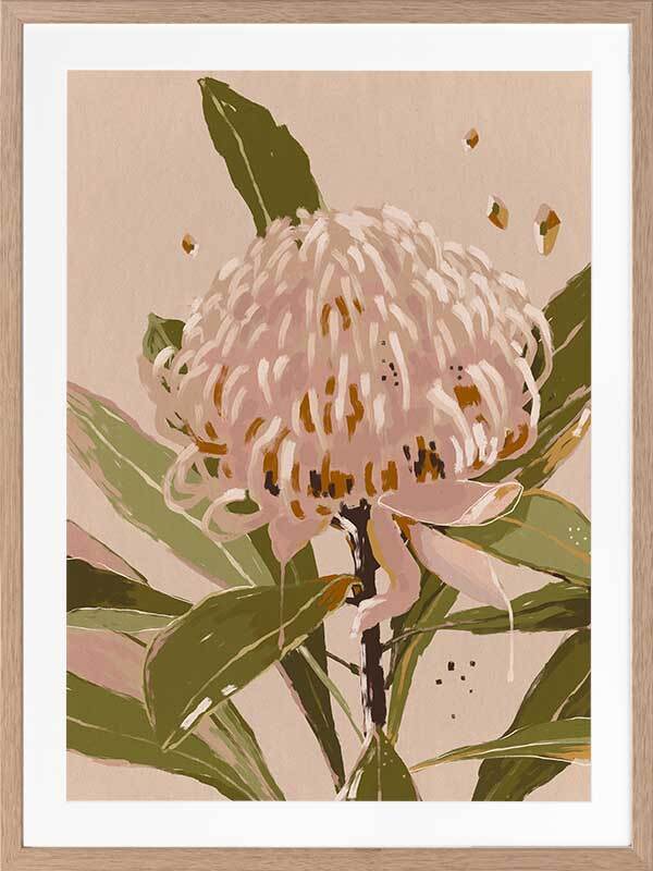 Neutral Waratah Framed Art Print