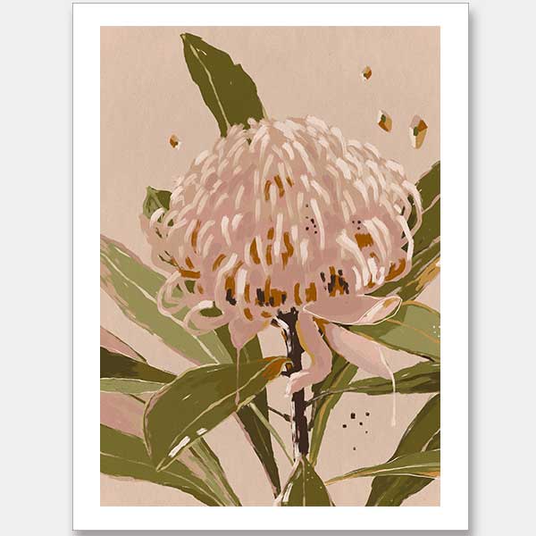 Neutral Waratah Unframed Art Print