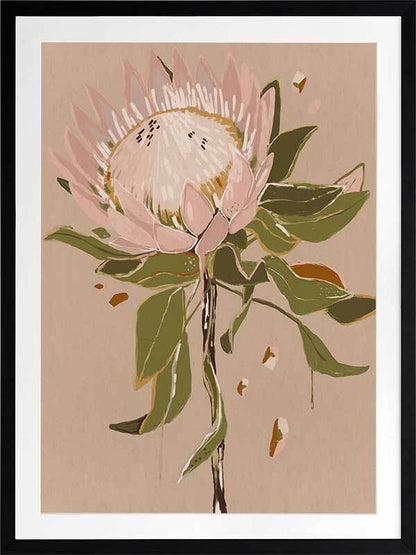 Neutral Protea Framed Art Print