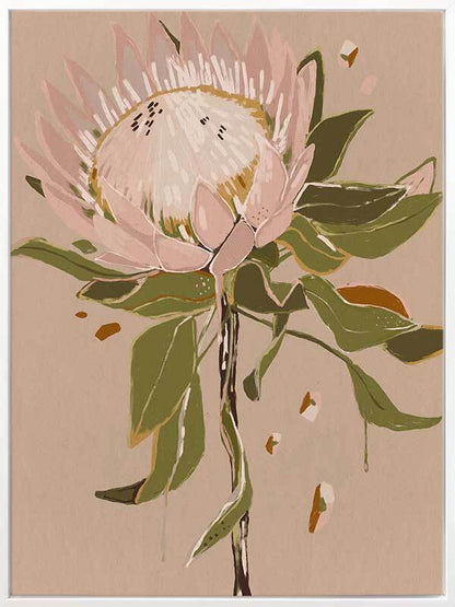 Neutral Protea Canvas Art Print