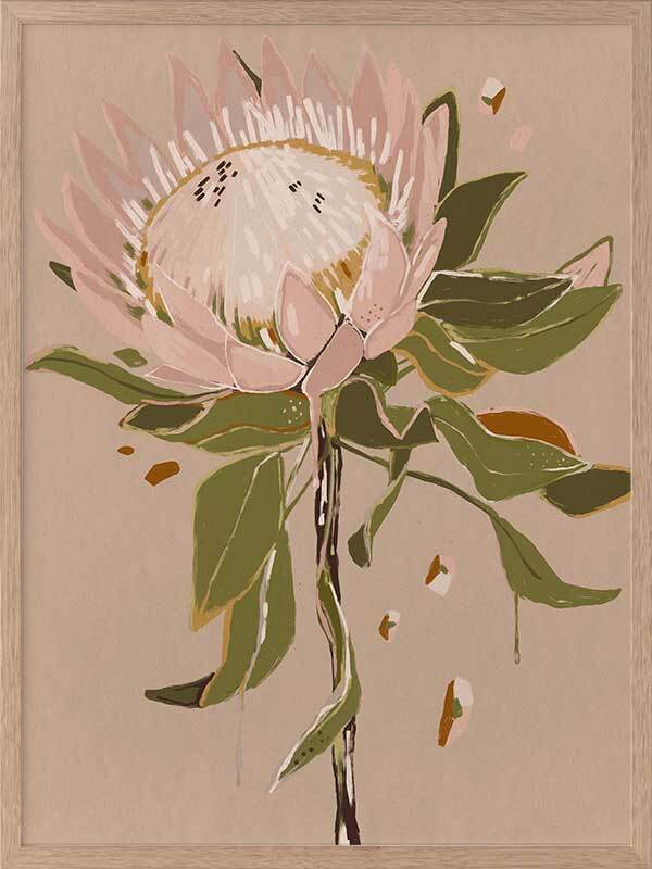 Neutral Protea Framed Art Print