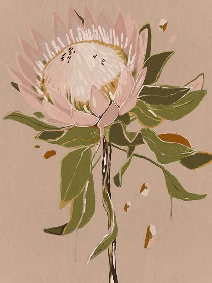 Neutral Protea Canvas Art Print