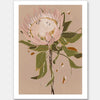 Neutral Protea Unframed Art Print