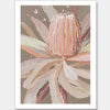 Peach Banksia Unframed Art Print