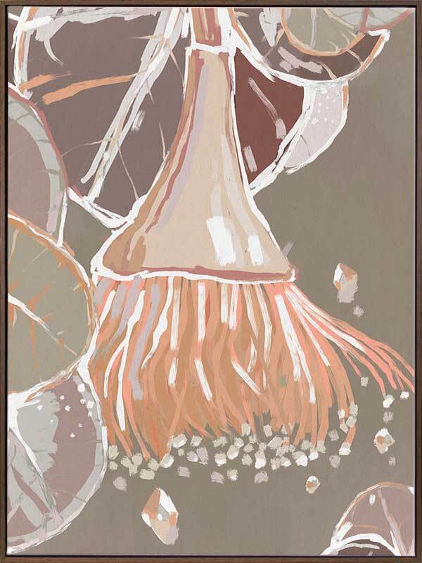 Peach Flowering Gum Canvas Art Print