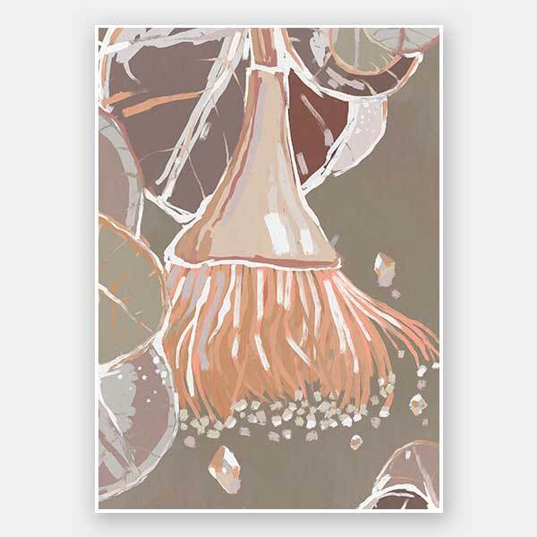 Peach Flowering Gum Unframed Art Print