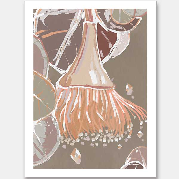 Peach Flowering Gum Unframed Art Print