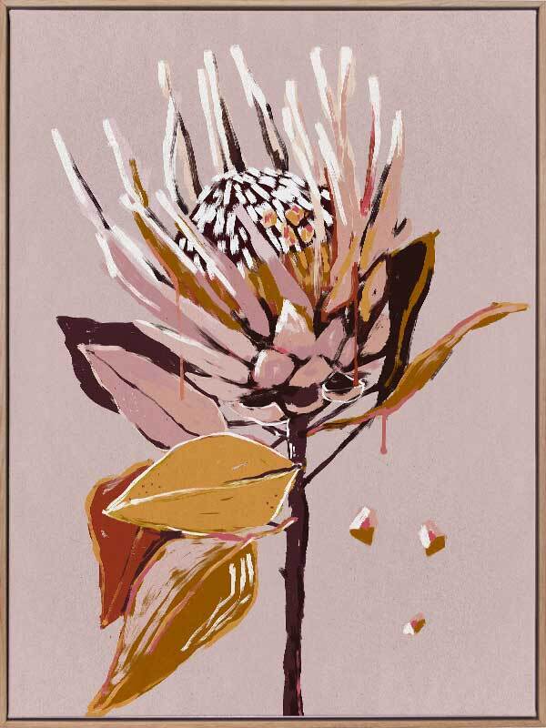 Blush Protea Canvas Art Print