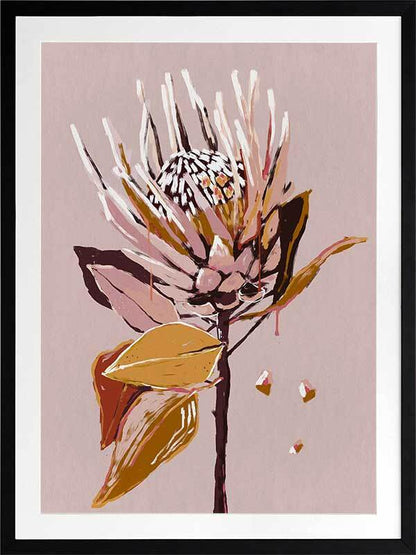 Blush Protea Framed Art Print